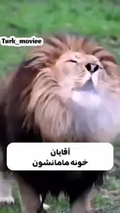 حرف حقققق