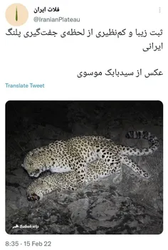 سید بابک موسوی حواسش به همه چی هست