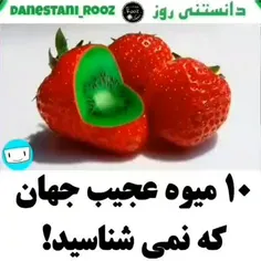 ۱۰ میوه عجیب دنیا😱