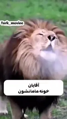 چرا آخهههههههه