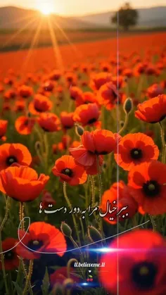 دلنوشته های من