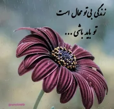 عاشقانه ها sober 29985828