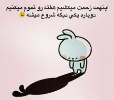 فردا شنننننننننبه