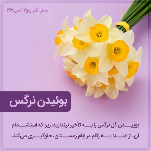 تکست خاص تکست ناب عکس نوشته