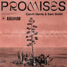 Calvin Harris & Sam Smith – Promises