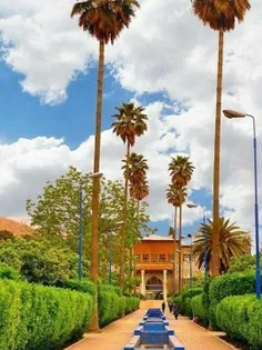 #باغ_دلگشا یکی از باغ های دیدنی و تاریخی شیراز با خیابان 
