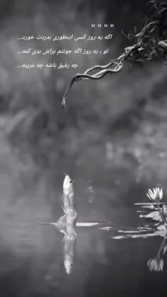 چشمی که عیب نگیرد، قشنگه