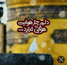 تا که از جانب معشوق نباشد کششی 