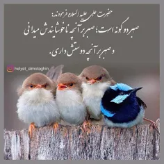 #لبیک_یامهدی #ظهور_نزدیک_است #لبیک_یا_مهدی #لبیک_یاحسین #