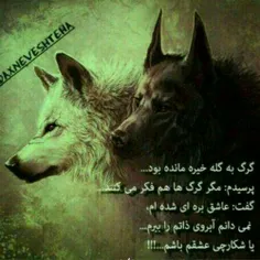 عکس نوشته saiedjafari 25275799