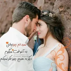 گوناگون dousti 25412158