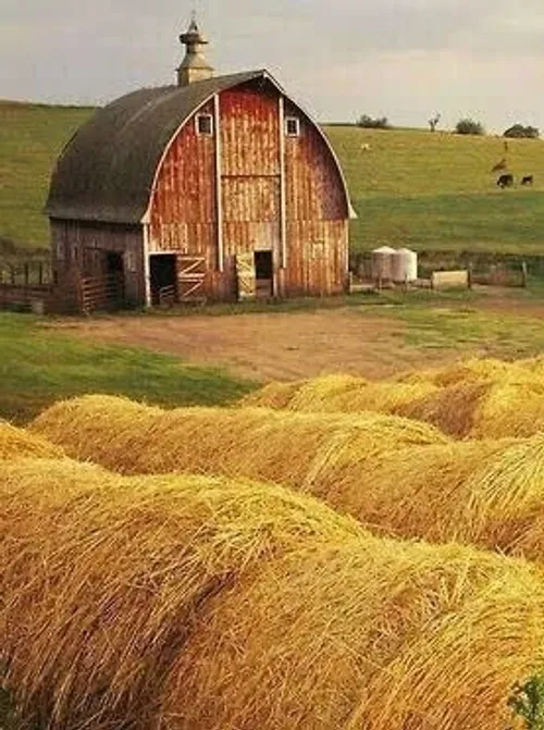 قشنگ ترین دیالوگی که شنیدم 💕