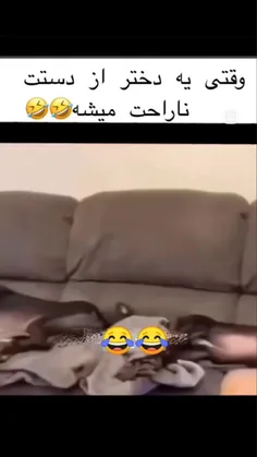 hjgjbjgjhhhj 75320550