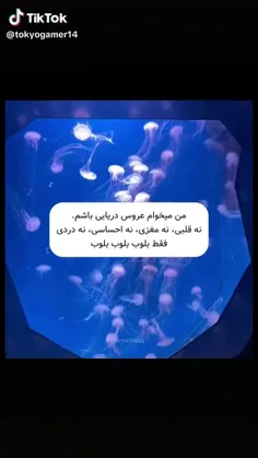 بلوب بلوب •-•🎀