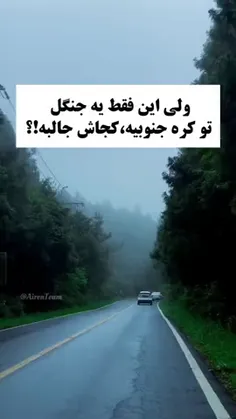 این جنگل خیلی زیباس همجاش