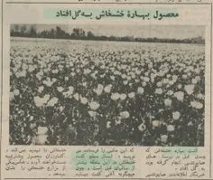 ✅طرح های بزرگ کشاورزی محمد رضا پهلوی در حال اجرا است