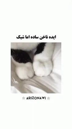 ناخن ساده و شیک داشته باش💅🏻