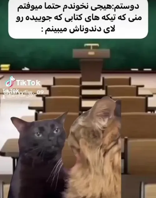 این رفیق تنبل منه 😂😂😂