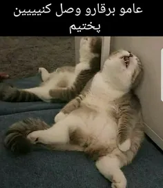 خخ پختیمممم