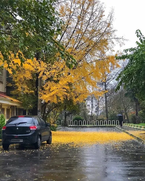 . رشت ،، شهر پاییزی من...