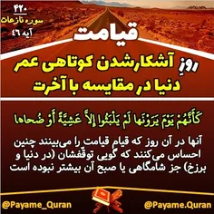 #قرآن #القرآن #القرآن_الکریم #quraan #quran #قرآن_کریم #ق