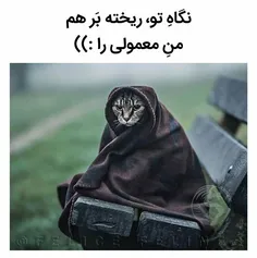 مجله ژوبیک