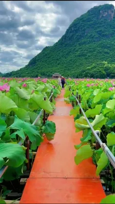 انرژی مثبت امروز من 🌱🤍🦋+📸