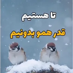 #مفهومی