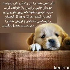 عکس نوشته raha.abs 22324440