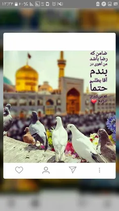 #امام‌رضا👑  ❤  ️