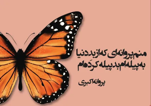 منم پروانه ای که از بدِ دنیا