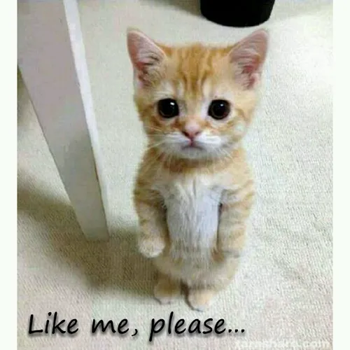 please...!!!