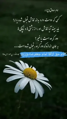 💚🌺💚امام صادق علیه السلام: