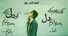 برد همه چیزمو...