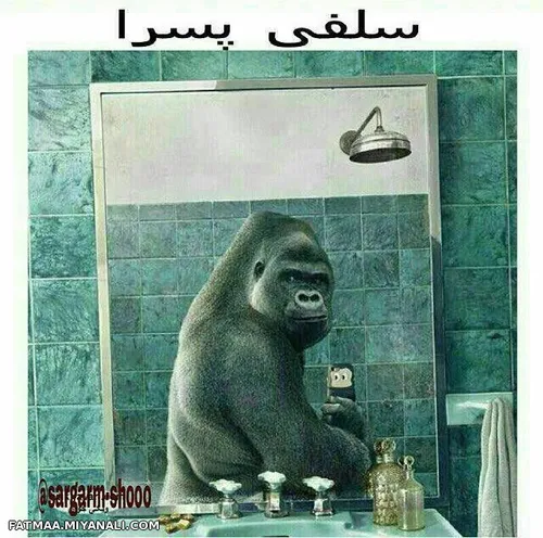 خخخ