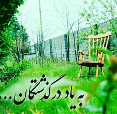 #برای شادی عزیزانی که با بودن زیستند وحالا نیستند فاتحه و