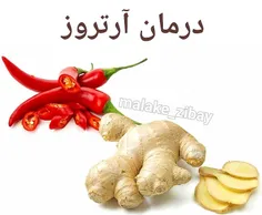 غذاهای تنر