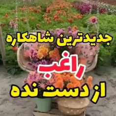 🌸صبح یعـــــنی بوسه برقلب خدا