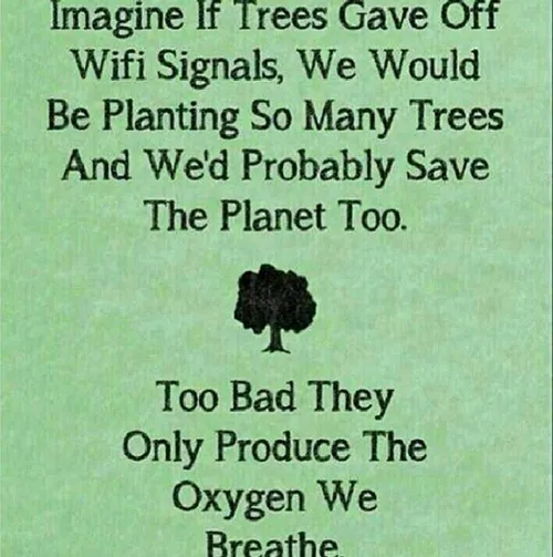 تصور کنید اگر درختان سیگنال وای فای تولید میکردند ما درخت