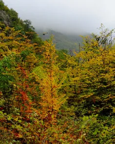 آب بندان بابلسر 