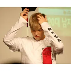 #zelo