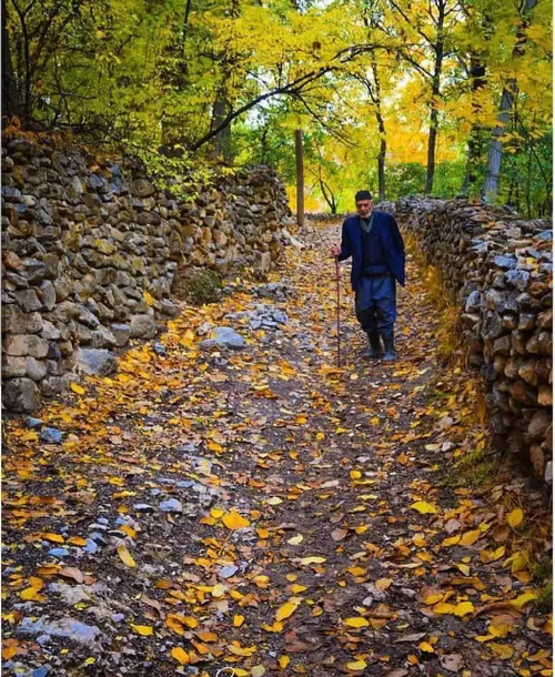 بخیر باد جوانی، اگر چه کوته بود