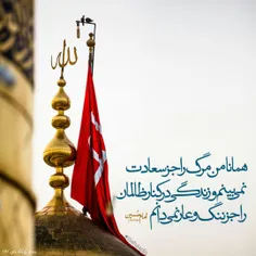 امام حسین(ع): همانا من مرگ را جز سعادت نمی بینم