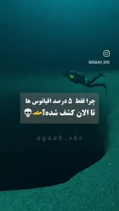 هم اکنون برگانم😂🍃