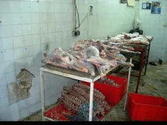 کشف 200 کیلو گوشت خر و سگه در کارخانه ی کالباس سازی توس م