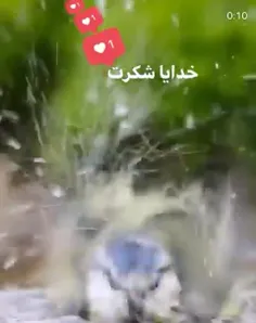 #تهران_ایران