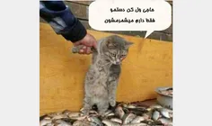 هه