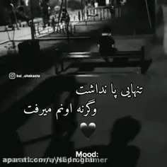 تنهایی هم پا نداشت واگرنه اونم...  
