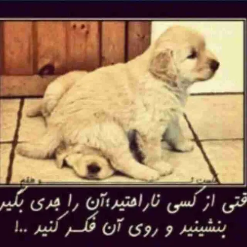 هههههههه