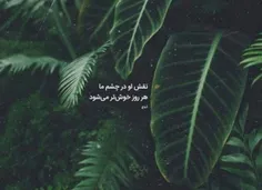 خوش تر میشود ...